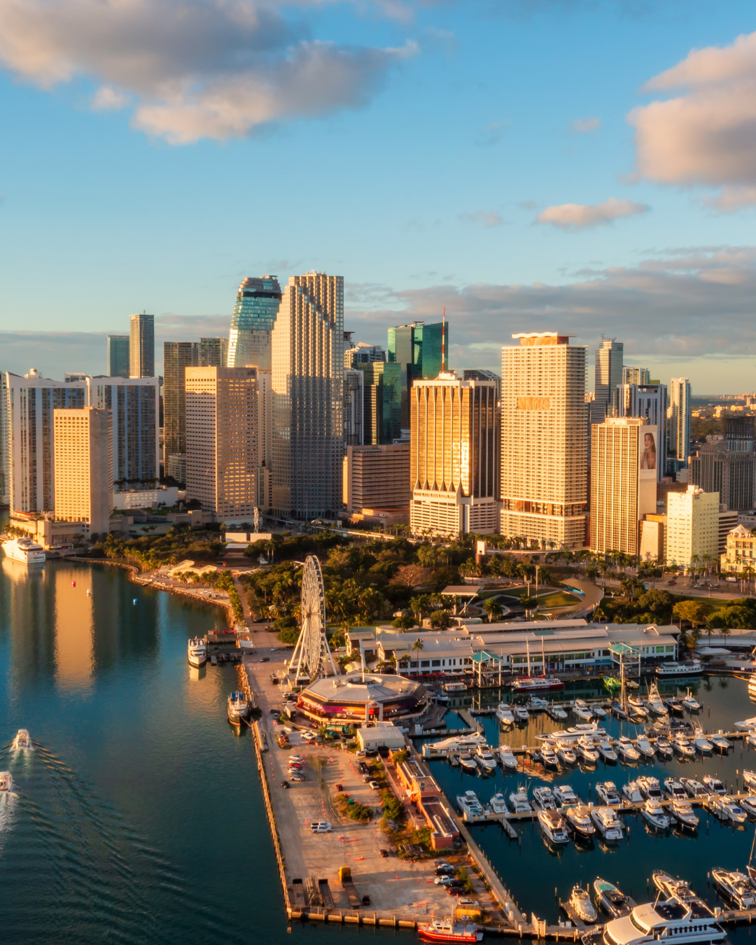 VIP chauffeur services in Miami and South Florida